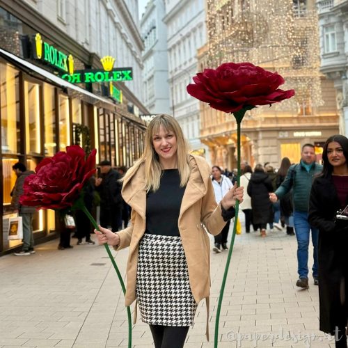 Fotoshooting Rote Rosen XXL Tuchlauben