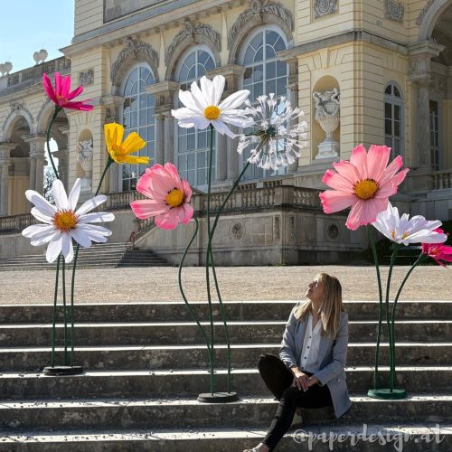 Schönbrunn XXL Blumen Fotoshooting Fotopoint Kreppblumen Verleih Wien Bgld Stiermark Niederösterreich Paperdesign